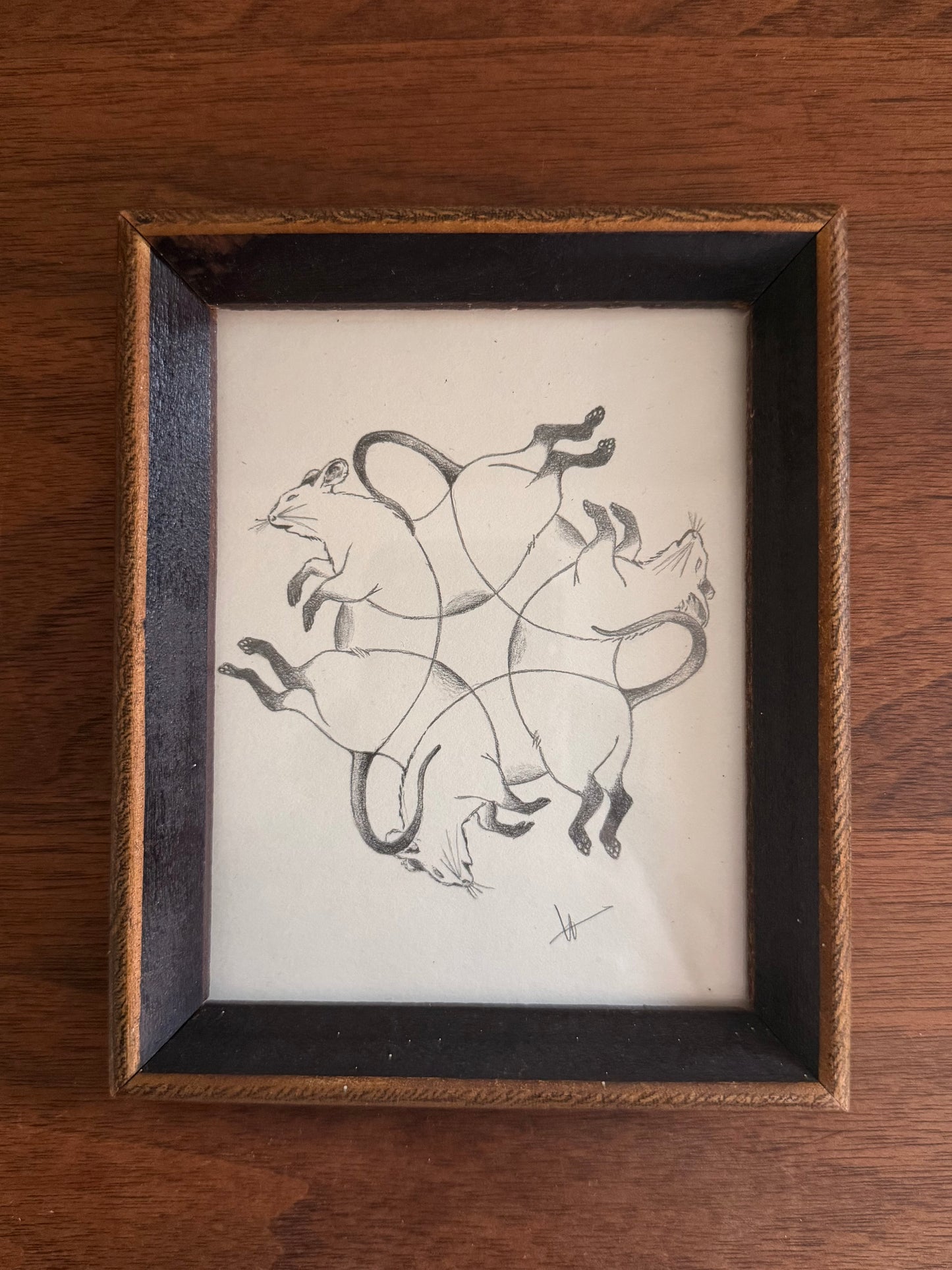 Interconnection Drawing