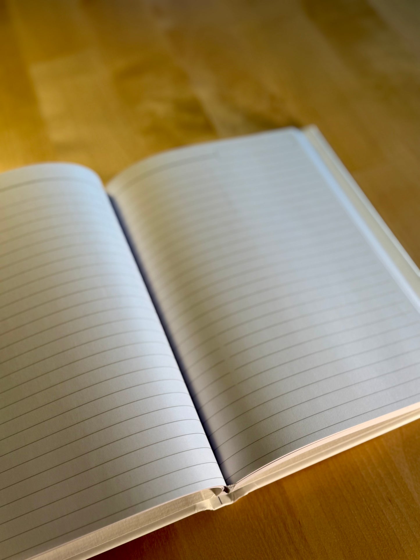 Get High On Hope Journal